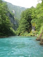 Rafting po reki Tari