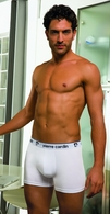 Spodnjice Pierre Cardin Boxer moške U24