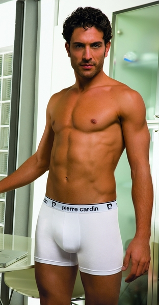 Spodnjice Pierre Cardin Boxer moške U24