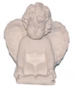 ANGELČEK manjši - knjiga