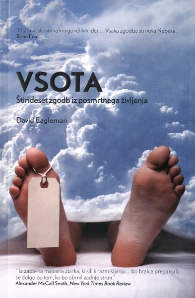 VSOTA, David Eagleman