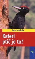 KATERI PTIČ JE TO?