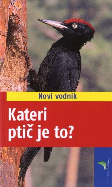 KATERI PTIČ JE TO?