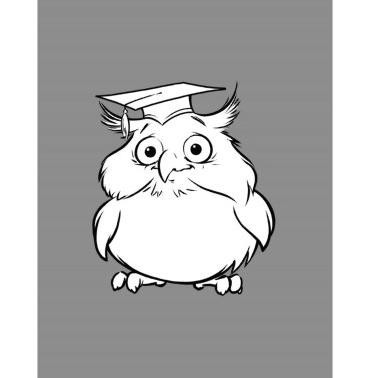 Greeting card graduation owl