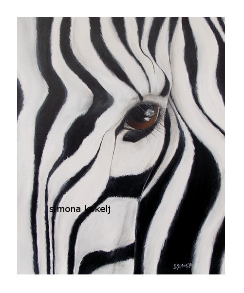 Slika Zebra